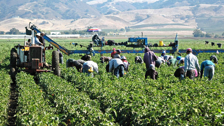 Patronal y sindicatos llegan a un acuerdo para firmar el Convenio del Campo que garantiza la paz social y la modernización del sector