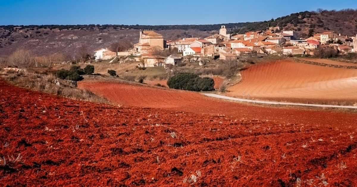 Obra pública en infraestructuras, política industrial y garantías para el empleo agrario: las bases para impulsar el desarrollo de la “España vaciada”