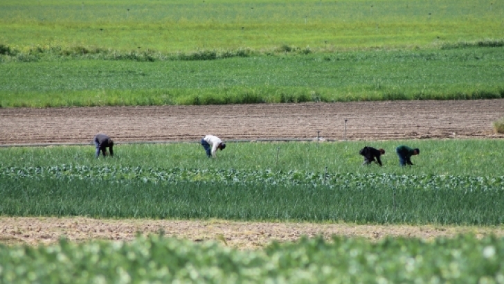 Las heridas abiertas del campo español