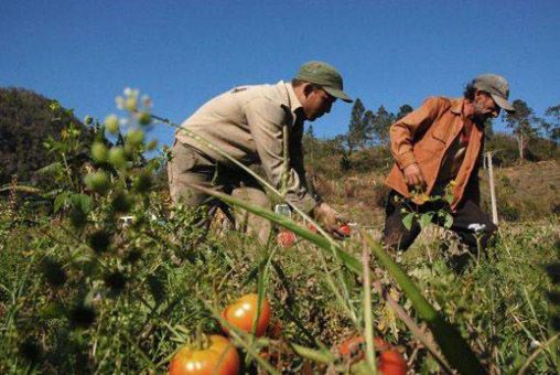 UGT FICA muestra su preocupación por la repercusión del Incremento del SMI en el pago de las cuotas de los trabajadores del campo en los periodos de inactividad